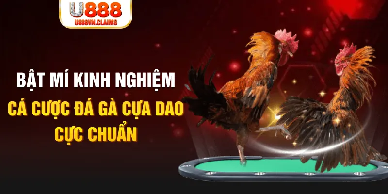 nohu78 casino hồ tràm có cho người việt vào không