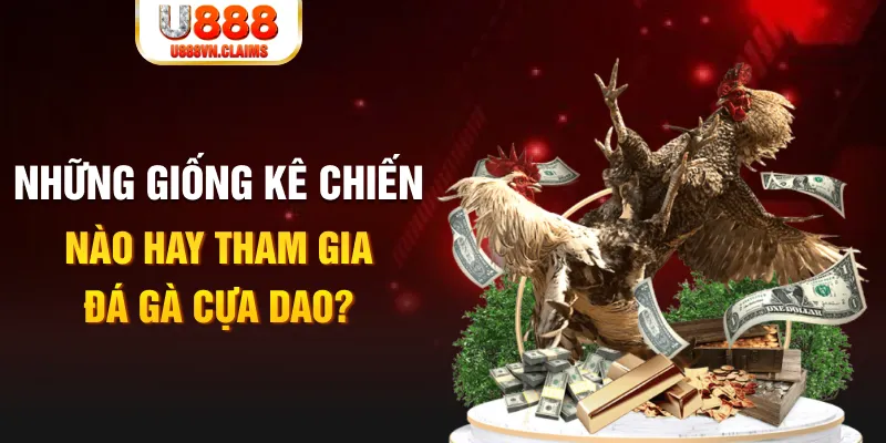 nohu78 BG Trực Tuyến
