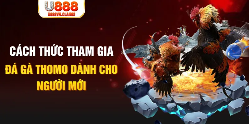 nohu78 truc tiep da ga