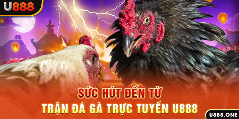 nohu78 đăng nhập poker 2024
