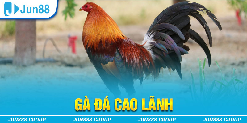 nohu78 tai game vua bai ve may tinh