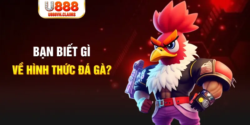 nohu78 đăng nhập liêng tặng tiền