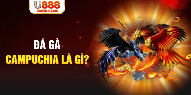nohu78 what is the best online casino for real money