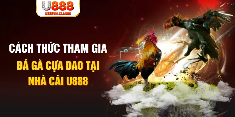 nohu78 đá gà 88.com
