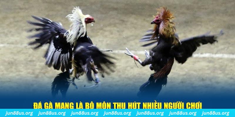 nohu78 đăng nhập sòng bạc số 1