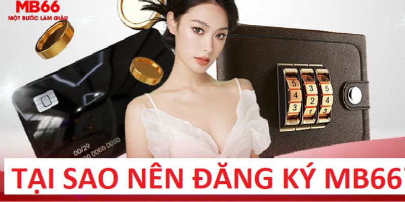 nohu78 trực tiếp gà chọi c1