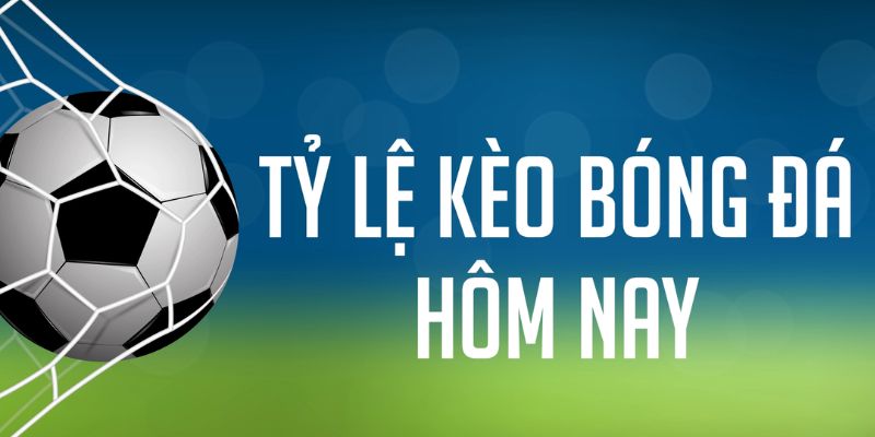 nohu78 đăng nhập phỏm