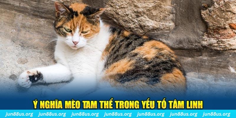 nohu78 máy slot game là loại trò chơi gì？