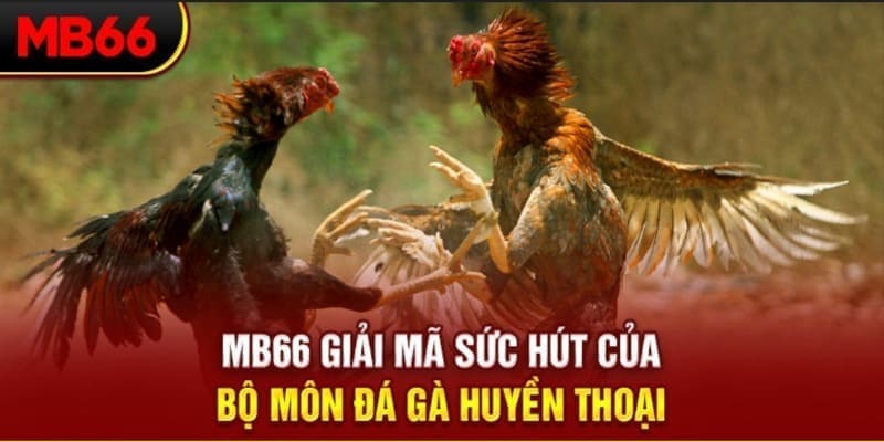 nohu78 xổ số đài bắc