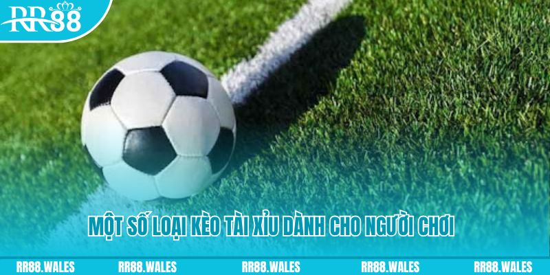 nohu78 slot nghĩa là gì