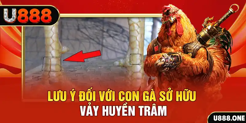 nohu78 tải game đánh bài tiến lên miền nam về máy tính