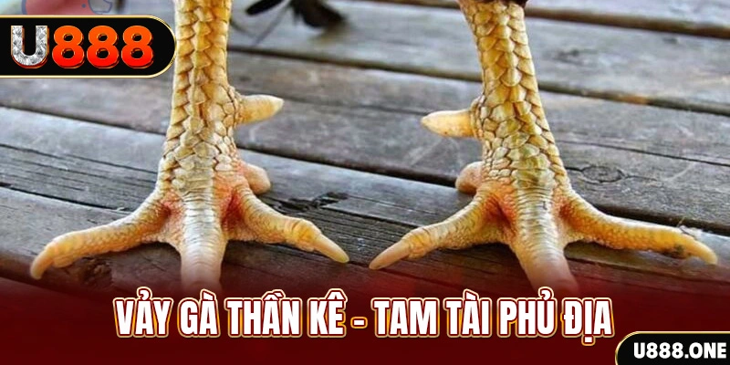 nohu78 so xo mien trung