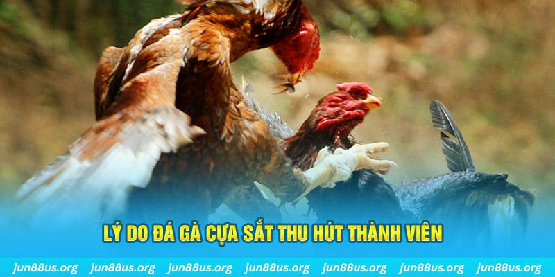 nohu78 nổ hũ ăn bao nhiêu