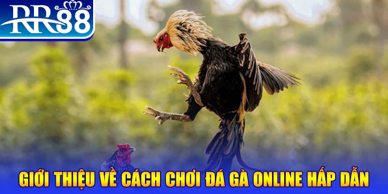 nohu78 bắn cá h5 là gì