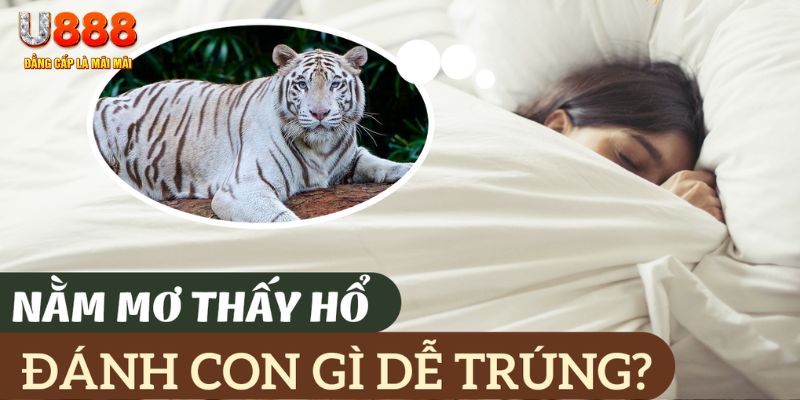nohu78 nohu .mx nổ hủ là gì