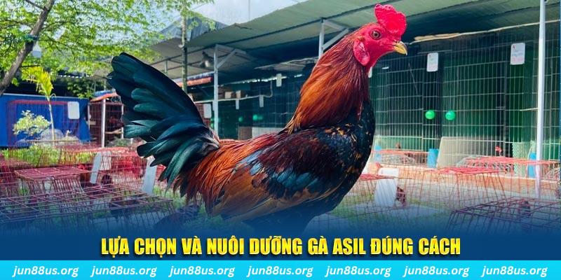 nohu78 nổ hũ thần tài là gì