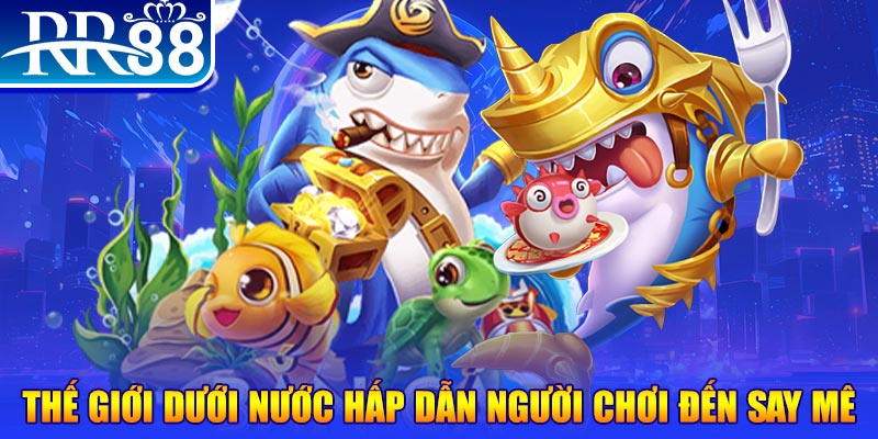 nohu78 đăng nhập mậu binh dễ thắng