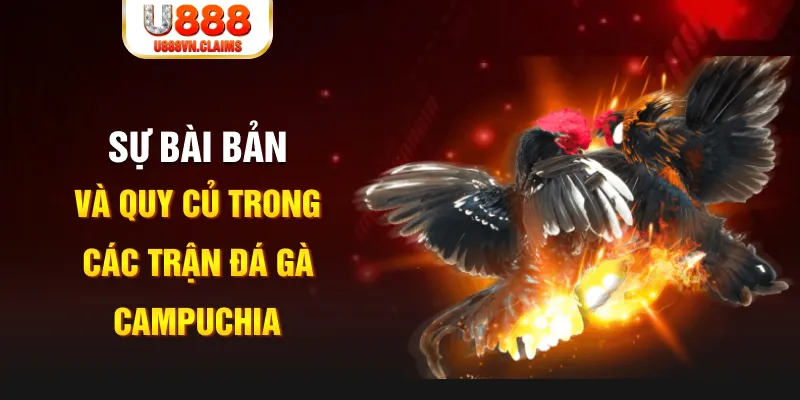 nohu78 game xếp bài trên máy tính