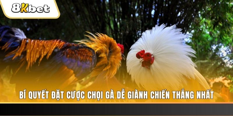 nohu78 nổ hũ chơi như thế nào