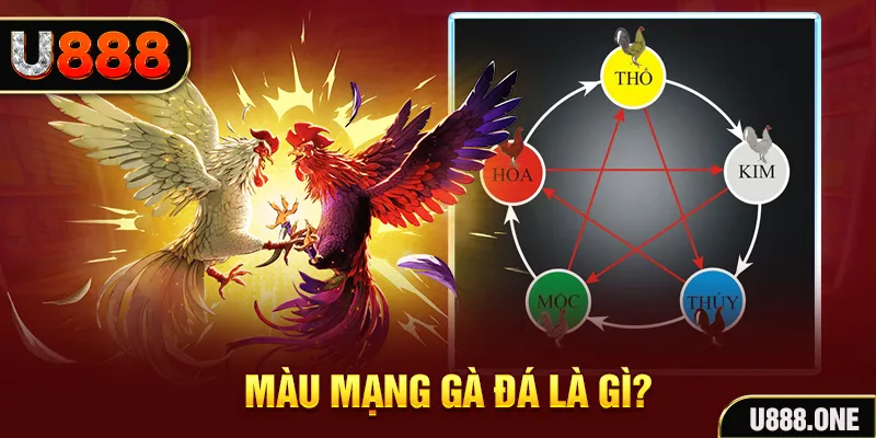 nohu78 V8 Game Bài 3d