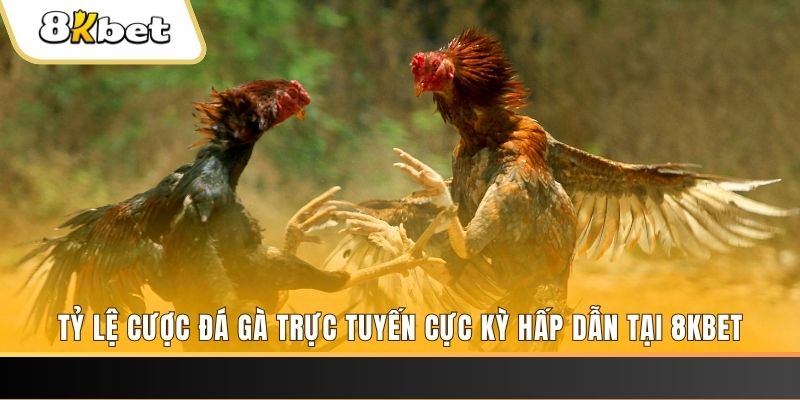 nohu78 xổ số miền bắc chủ nhật