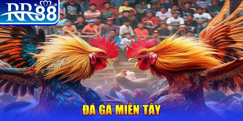 nohu78 đăng nhập liêng đổi thưởng