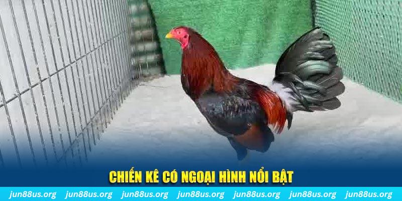 nohu78 qq88 bắn cá