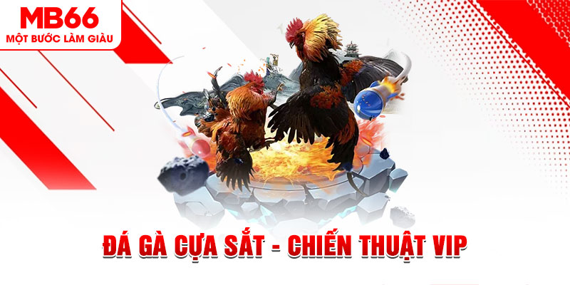 nohu78 slot out là gì