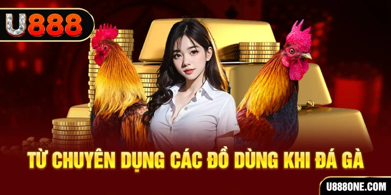 nohu78 đăng nhập poker trực tiếp