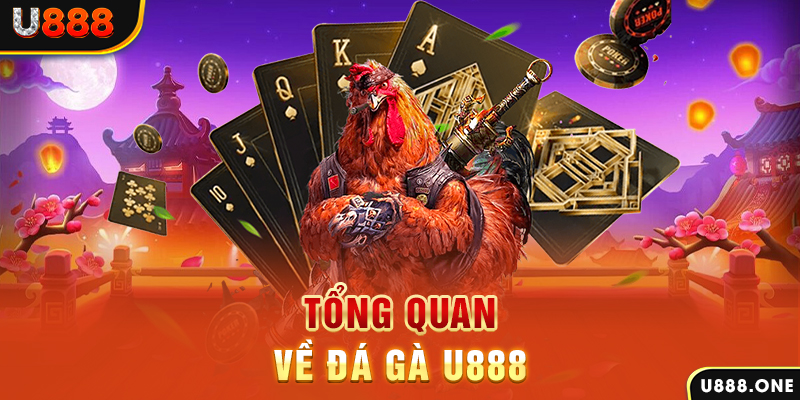 nohu78 xổ số vietlott