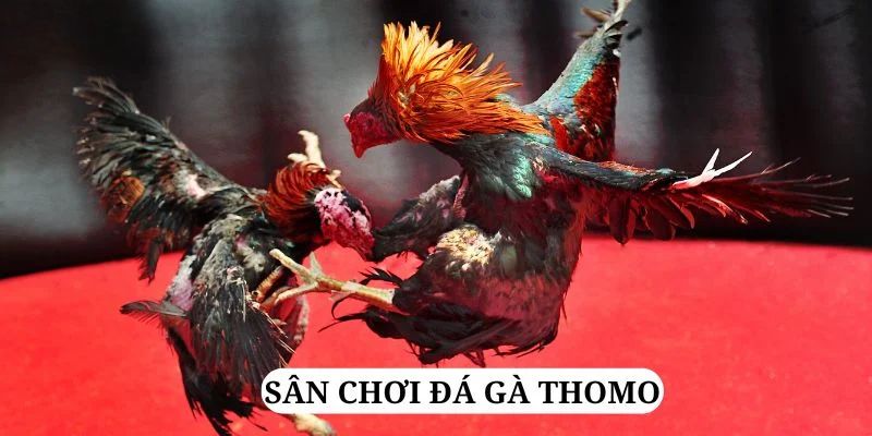 nohu78 quay nổ hũ là gì