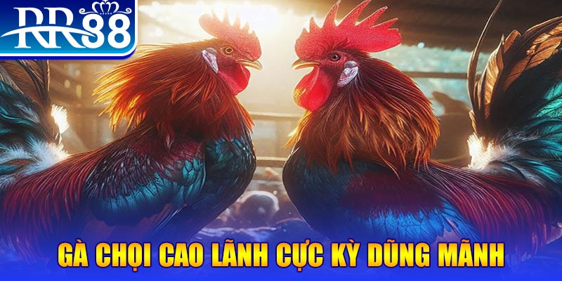 nohu78 đăng nhập poker live